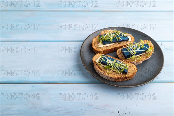 Bread sandwiches with blue lavender cheese and mustard microgreen on blue wooden background. side