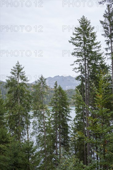 Zugspitze massif with Eibsee lake, Wetterstein mountains, Grainau, Werdenfelser Land, Upper