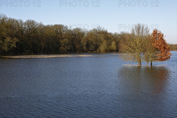 Winter floods 2024 on the Elbe and Mulde rivers with flooding of the meadows, ice on the meadows