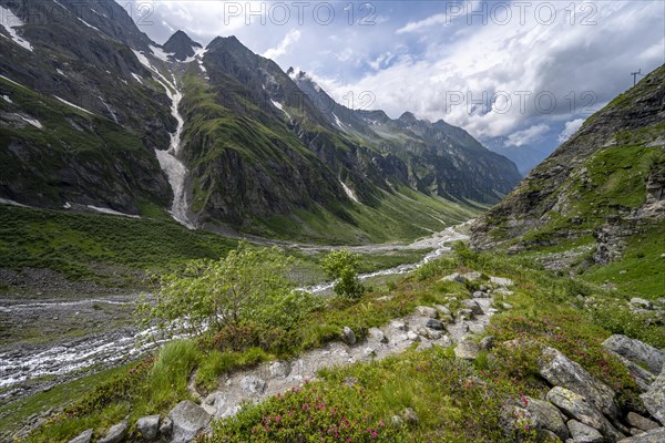Hiking trail to Greizer Huette, green Floitengrund mountain valley with Floitenbach mountain