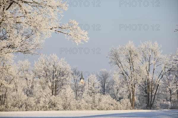 Snowy, sunny winter landscape near Polling an der Ammer. View of the church tower of Oderding.