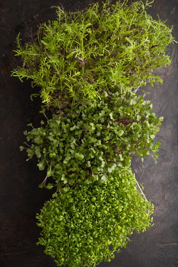 Set of boxes with microgreen sprouts of watercress, mizuna and kohlrabi cabbage on black concrete
