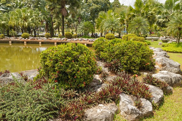 Palm collection in city park in Kuching, Malaysia, tropical garden with large trees and lawns,