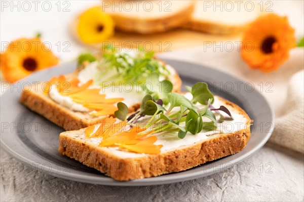 White bread sandwiches with cream cheese, calendula petals and microgreen radish and tagetes on