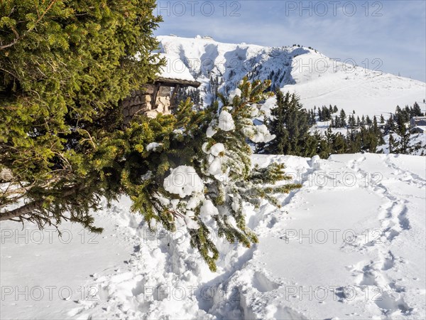 Winter landscape, view to the Schafberg, Sankt Wolfgang am Wolfgangsee, Salzkammergut, Upper