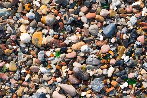 Close-up of different coloured pebbles, snail shell of a sea snail and smoothly ground glass