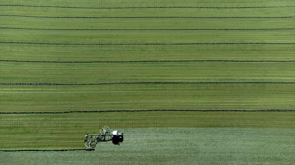Farmer cutting grass to straight rows with tractor and large roundabout rake, drone shot, Upper