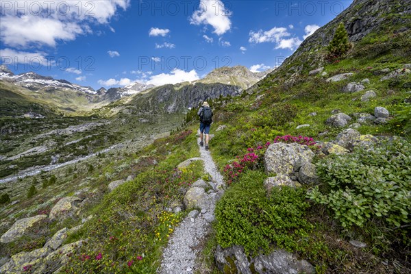 Mountaineers on a hiking trail in front of a picturesque mountain landscape, rocky mountain peaks