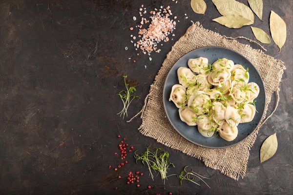Dumplings with pepper, salt, herbs, microgreen on black concrete background and linen textile. Top