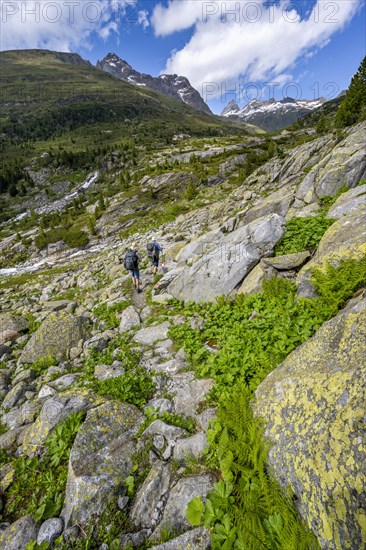 Mountaineers on a hiking trail in front of a picturesque mountain landscape, rocky mountain peaks