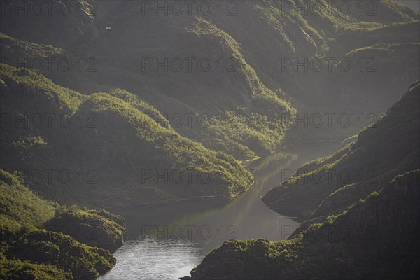 Fjord landscape with atmospheric evening light, Ulvagfjorden fjord and mountains, view from the top