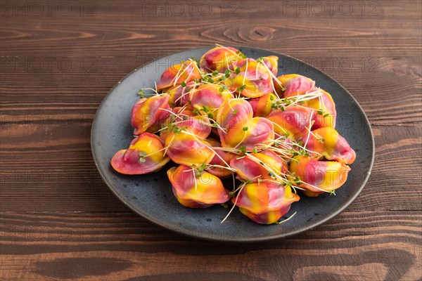 Rainbow colored dumplings with pepper, herbs, microgreen on brown wooden background. Side view,