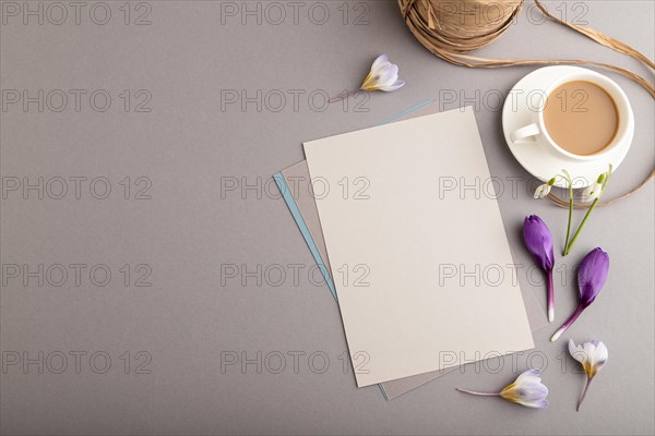 Gray paper sheet mockup with spring snowdrop crocus and galanthus flowers and cup of coffee on gray