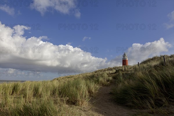 Lighthouse Eierland with dunes, De Cocksdorp, Texel, West Frisian Islands, North Holland Province,