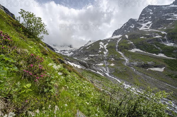 Green mountain valley Floitengrund with mountain stream Floitenbach, ascent to Greizer Huette,
