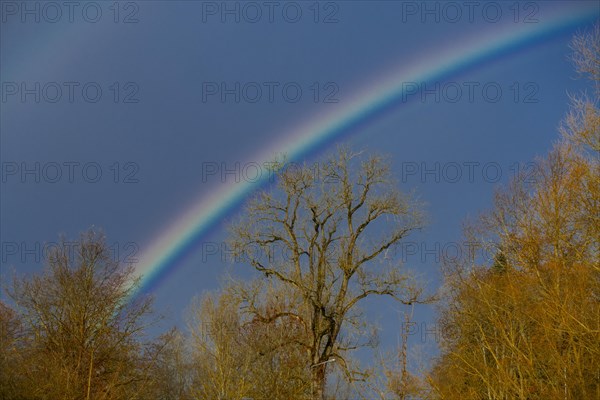Rainbow at the confluence of the Breg and Brigach rivers to form the Danube, source of the Danube,