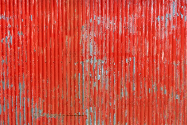 Red painted corrugated iron wall, abandoned herring factory Djupavik, Reykjarfjoerour, Strandir,