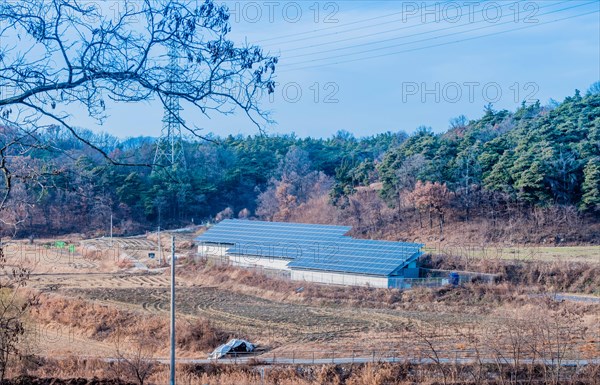 Large array of solar panels setup in countryside in front of hillside covered in lush foliage under