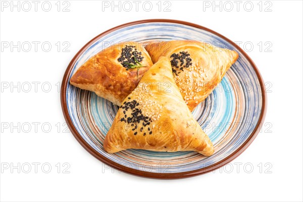 Homemade asian pastry samosa isolated on white background. side view, close up