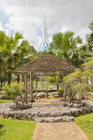 Palm collection in city park in Kuching, Malaysia, tropical garden with large trees and lawns,