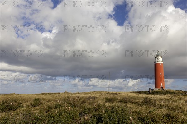 Lighthouse Eierland with dunes, De Cocksdorp, Texel, West Frisian Islands, North Holland Province,