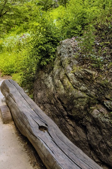 Park bench made of long cut log under shade tree beside large boulder on hiking trail in