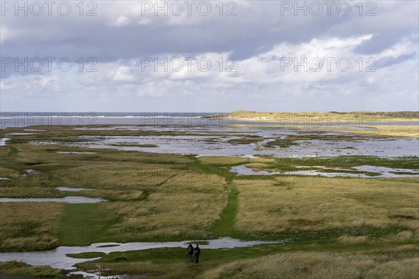 National Park Duinen van Texel, dunes of Texel, North Sea island of Texel, West Frisian island,