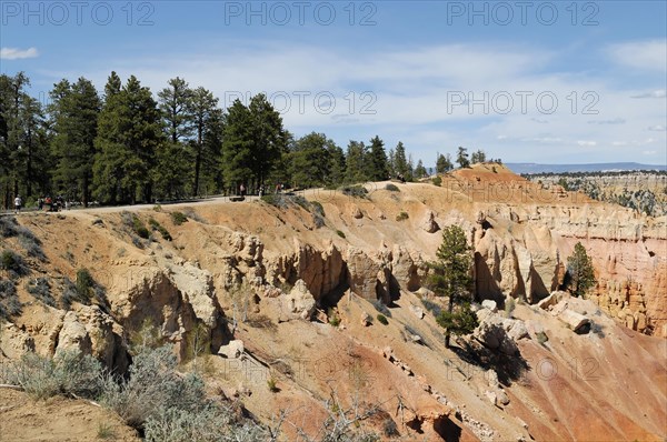 Trails at the canyon rim, Bryce Canyon National Park, Utah, USA, North America