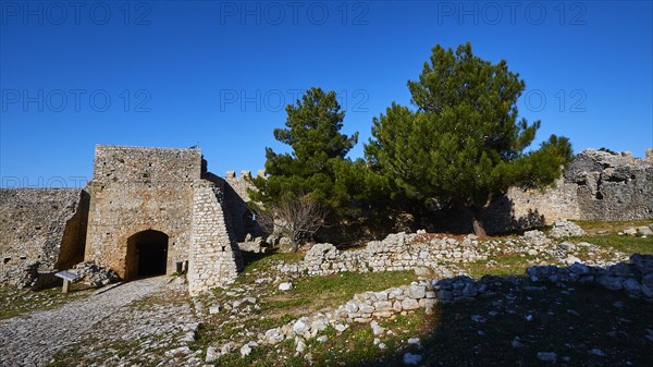 Ruins of an old fortress with a prominent pine tree, Chlemoutsi, High Medieval Crusader castle,