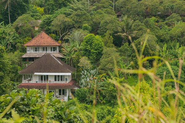 Landscape with houses in jungle near Campuhan ridge walk, Bali, Indonesia, track on the hill with