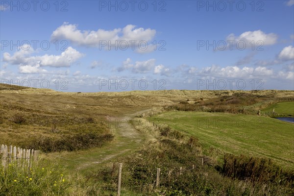 National Park Duinen van Texel, dunes of Texel, North Sea island of Texel, West Frisian island,