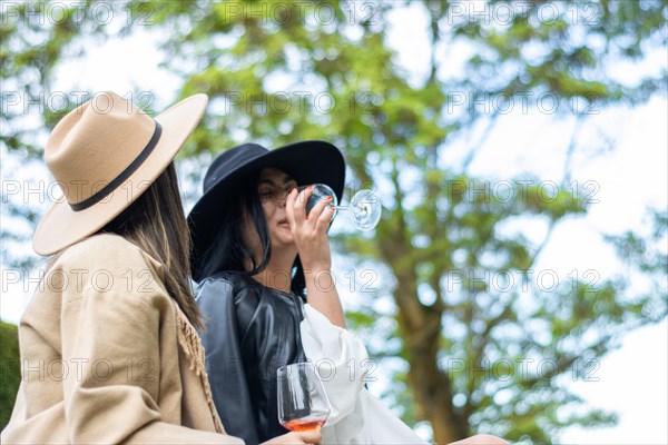 Lifestyle of young friends in hats sitting on the grass toasting with wine. Side view of two women