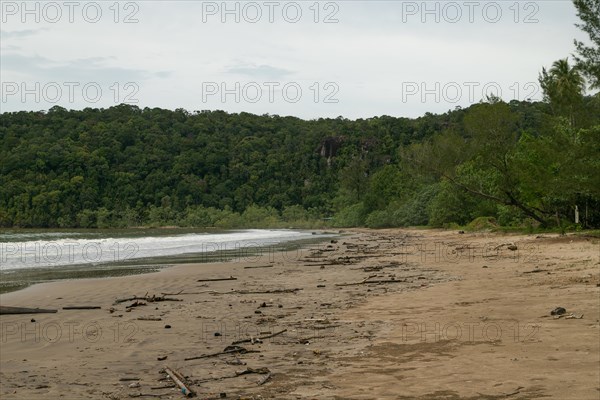 Bako national park, sea sandy beach, overcast, cloudy day, sky and sea. Vacation, travel, tropics