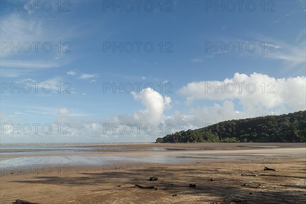 Bako national park, sea sandy beach, sunny day, blue sky and sea. Vacation, travel, tropics