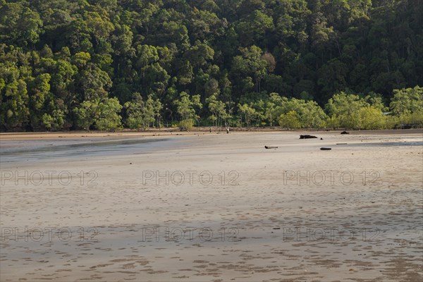 Bako national park, sea sandy beach, sunny day, blue sky and sea. Vacation, travel, tropics
