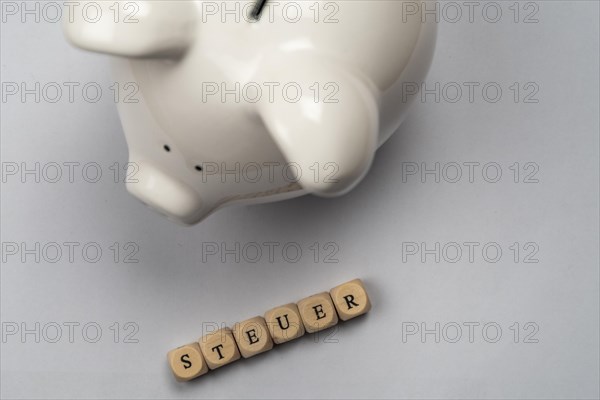 White piggy bank and tax lettering against a white background, top view, studio shot, Germany,
