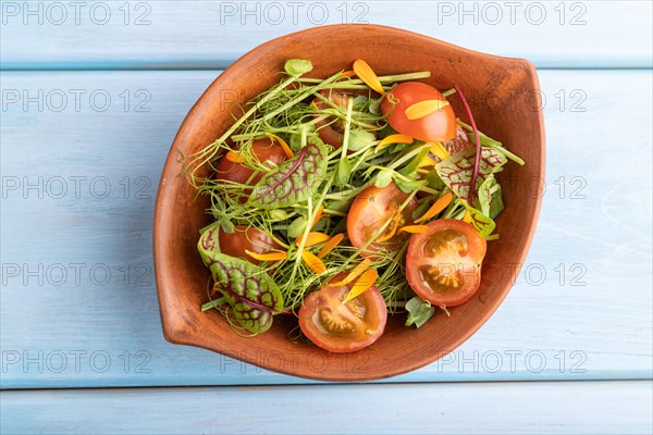 Vegetarian vegetables salad of tomatoes, marigold petals, microgreen sprouts on blue wooden