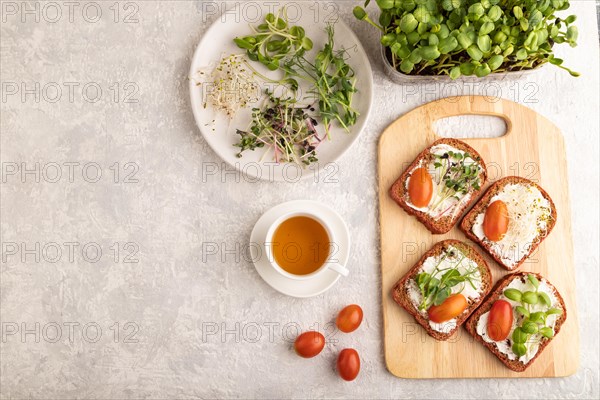 Red beet bread sandwiches with cream cheese, tomatoes and microgreen on gray concrete background.