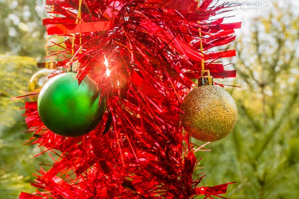 Green and gold Christmas ornaments and red tensile garland hanging on pine tree in local park in