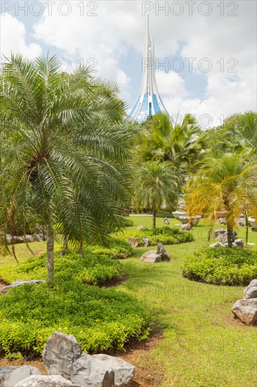 Palm collection in city park in Kuching, Malaysia, tropical garden with large trees and lawns,