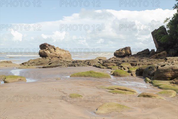 Cliff in Bako national park, sunny day, blue sky and sea. Vacation, travel, tropics concept, no