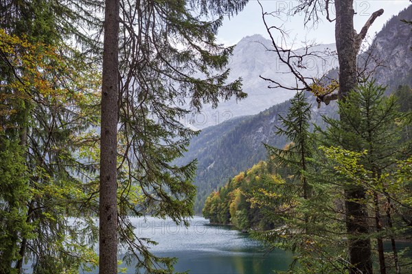 Zugspitze massif and Zugspitze with Eibsee lake, Wetterstein mountains, Grainau, Werdenfelser Land,