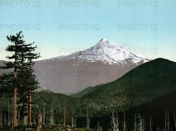 Mount Hood, an active stratovolcano in the Cascade volcanic arc. It was formed by a subduction zone