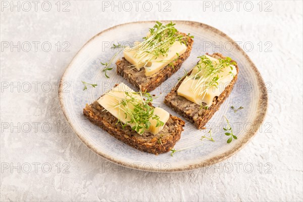 Grain bread sandwiches with cheese and watercress microgreen on gray concrete background. side