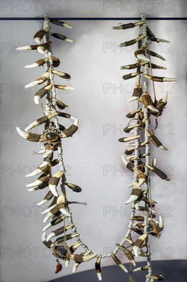 Necklace with crocodile teeth, South Sea collection, Obergünzburg, Allgäu, Bavaria, Germany, Europe