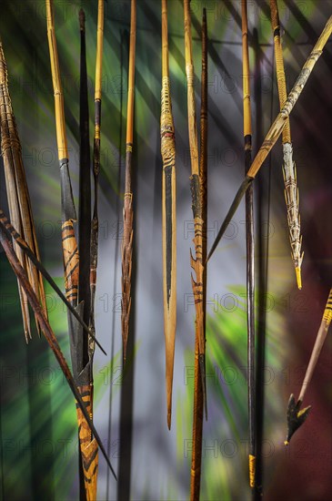 Spears and lances from the South Sea Collection, Obergünzburg, Allgäu, Bavaria, Germany, Europe
