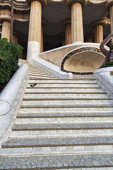 Empty dragon staircase, staircase with pigeon in Park Güell, deserted, Gracia, Barcelona, Spain,