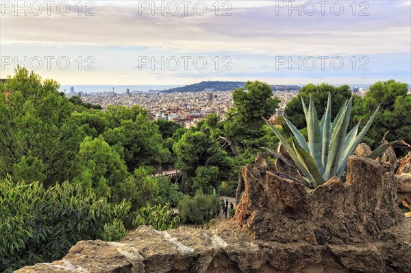 City view, dawn, Park Güell, Barcelona, Spain, Europe