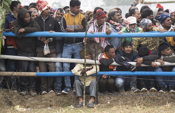 Large group of people looking traditional Moh-Juj (Buffalo fight) competition as a part of Magh