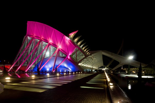 Science Museum-Prince-Felipe-Valencia-Spain-Architect-Santiago-Calatrava Architecture Night shot